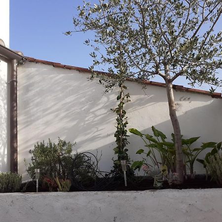 Apartamento Il Nido Terni Exterior foto